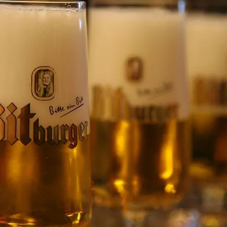 Hotel Hochwald 4*