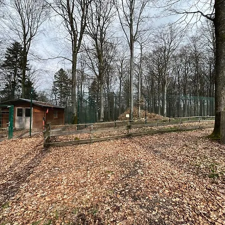 Hochwald Hotel